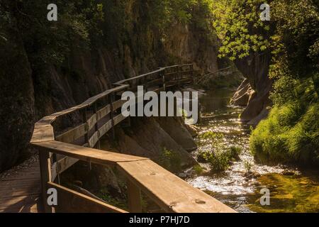 Cerrada de Elias, Ruta Del Rio Borosa, Parque natural Sierra de Cazorla, Segura y Las Villas, Jaen, Andalusien, Spanien. Stockfoto