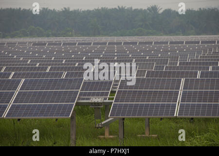 Ein Feld von Sonnenkollektoren südlich von Kuala Lumpur, Malaysia, die Panels der nahe gelegenen internationalen Flughafen Kuala Lumpur zur Stromversorgung verwendet werden. Stockfoto