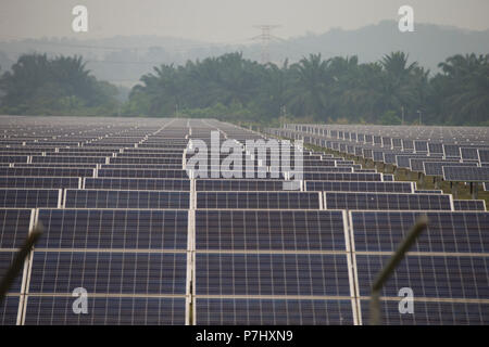 Ein Feld von Sonnenkollektoren südlich von Kuala Lumpur, Malaysia, die Panels der nahe gelegenen internationalen Flughafen Kuala Lumpur zur Stromversorgung verwendet werden. Stockfoto