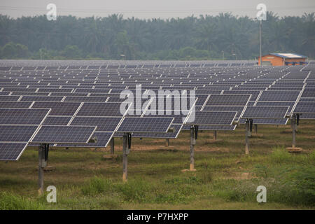 Ein Feld von Sonnenkollektoren südlich von Kuala Lumpur, Malaysia, die Panels der nahe gelegenen internationalen Flughafen Kuala Lumpur zur Stromversorgung verwendet werden. Stockfoto