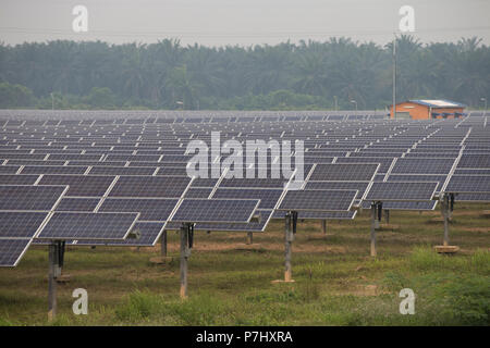 Ein Feld von Sonnenkollektoren südlich von Kuala Lumpur, Malaysia, die Panels der nahe gelegenen internationalen Flughafen Kuala Lumpur zur Stromversorgung verwendet werden. Stockfoto