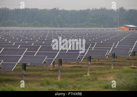 Ein Feld von Sonnenkollektoren südlich von Kuala Lumpur, Malaysia, die Panels der nahe gelegenen internationalen Flughafen Kuala Lumpur zur Stromversorgung verwendet werden. Stockfoto