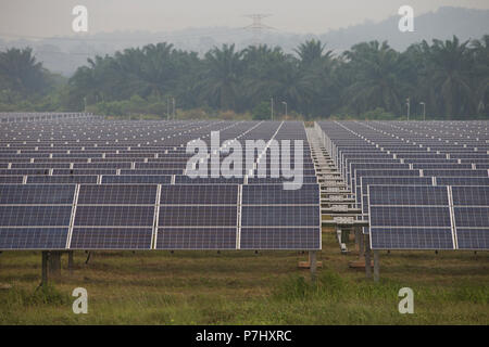 Ein Feld von Sonnenkollektoren südlich von Kuala Lumpur, Malaysia, die Panels der nahe gelegenen internationalen Flughafen Kuala Lumpur zur Stromversorgung verwendet werden. Stockfoto