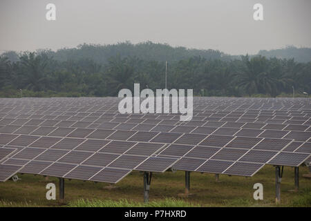 Ein Feld von Sonnenkollektoren südlich von Kuala Lumpur, Malaysia, die Panels der nahe gelegenen internationalen Flughafen Kuala Lumpur zur Stromversorgung verwendet werden. Stockfoto