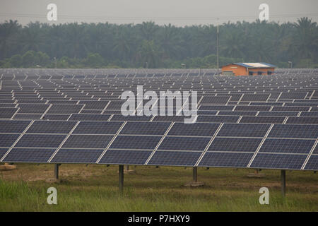 Ein Feld von Sonnenkollektoren südlich von Kuala Lumpur, Malaysia, die Panels der nahe gelegenen internationalen Flughafen Kuala Lumpur zur Stromversorgung verwendet werden. Stockfoto