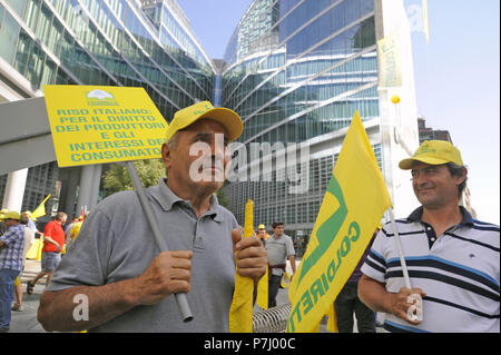 Mailand (Italien), die Vorführung von Coldiretti Landwirte Organisation aus Protest gegen die Einfuhr von Reis aus dem Fernen Osten Länder und zur Unterstützung der nationalen Produktion Stockfoto