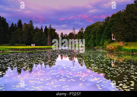Wald reflektieren aus Wasser mit Seerosen Blätter, es auf einen Sonnenuntergang. Stockfoto