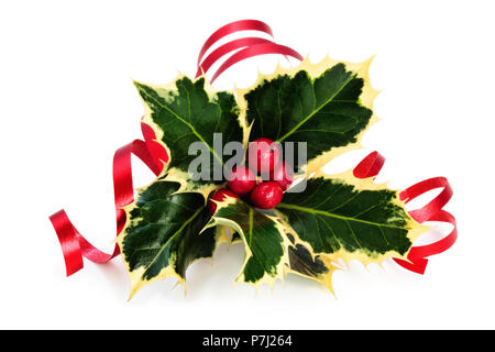 Zweig von Holly mit Beeren und Farbband isoliert auf einem weißen Hintergrund. Stockfoto