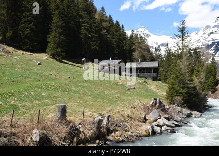 Felbertauern Tauerntal Schildalm Frühling im Nationalpark Hohe Tauern Stockfoto