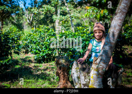 Con motivo del día Internacional de La Niña. Niña de caficultora Tziscao. La Trinitaria # Chiapas Stockfoto