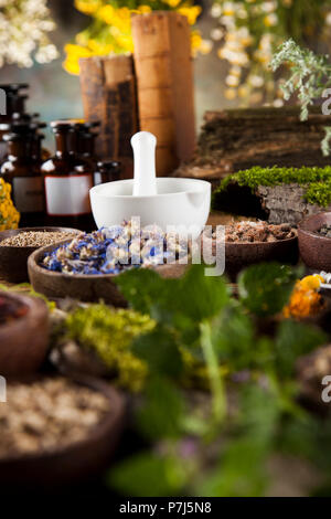 Kräuter, Beeren und Blumen mit Mörtel, Holz Tisch Hintergrund Stockfoto