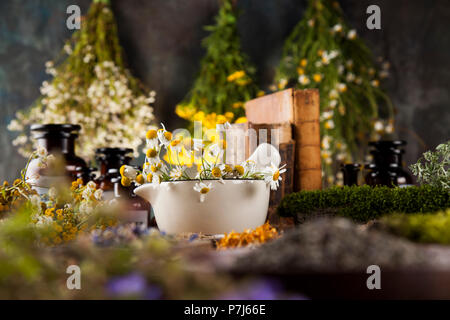 Kräuter, Beeren und Blumen mit Mörtel, Holz Tisch Hintergrund Stockfoto