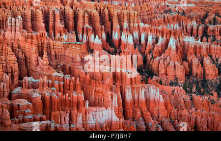 Einen weiten Panoramablick auf den Bryce Canyon Nationalpark Kathedrale von Hoodoos auf Inspiration Point bei Sonnenuntergang. Stockfoto