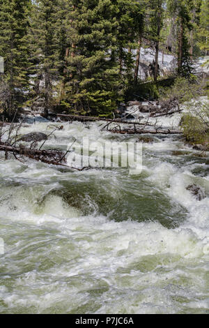 Frühling - Schmelzender Schnee und Eis schnell fließende Berg Stockfoto