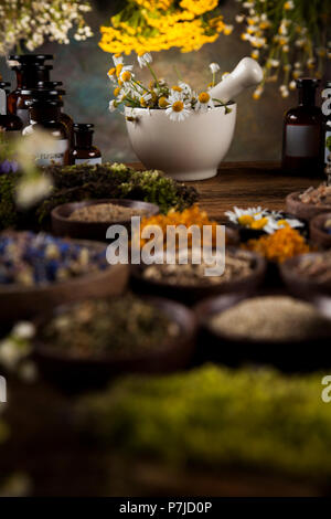 Kräuter, Beeren und Blumen mit Mörtel, Holz Tisch Hintergrund Stockfoto
