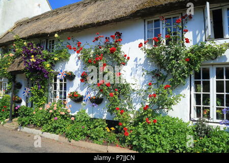 Reetdachhaus mit schönen Garten im Dorf von Branscombe in East Devon Stockfoto