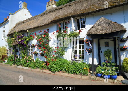 Reetdachhaus mit schönen Garten im Dorf von Branscombe in East Devon Stockfoto