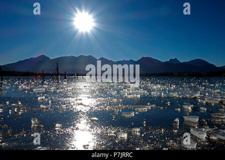 Gefrorenen See Hopfensee bei Füssen im Allgäu, an einem klaren Winter Stockfoto