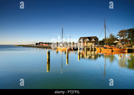 Deutschland, Mecklenburg-Vorpommern, Fischland-Darß-Zingst, Darß Halbinsel, Ahrenshoop, Althagen, traditionelle "Zeesenboote" (Boote) im Hafen entlang des Saaler Bodden, das Morgenlicht. Stockfoto