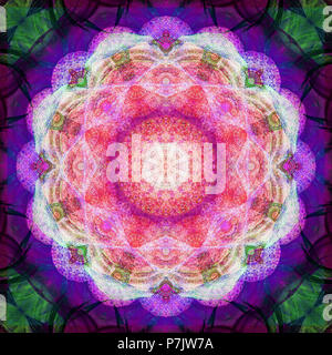 Fotografische Blume Mandala, Pink, Lila, Grün, Stockfoto