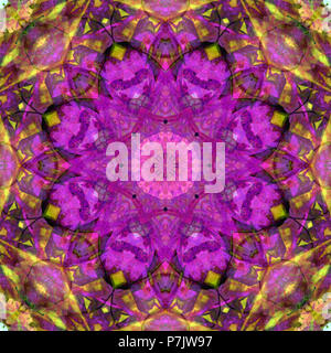 Fotografische Blume Mandala, Lila, Rosa, Gelb, Stockfoto
