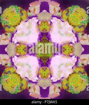 Fotografische Blume Mandala, violett, gelb, grün, Stockfoto