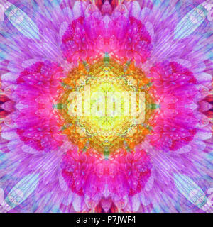 Fotografische Blume Mandala, Gelb, Pink, Lila, Stockfoto