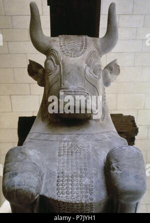 Stier Kapital einer Spalte aus Audienzsaal des Palastes von Darius I. Apadana. Susa. Irak. Achämenidischen Reiches. In der Nähe der Östlichen, C. 510 v. Chr.. Louvre Museum. Paris, Frankreich. Stockfoto