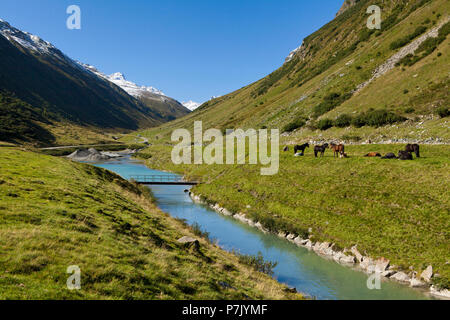 Österreich, Tirol, Paznaun, Galtür, Pferde in Kleinvermunt Stockfoto