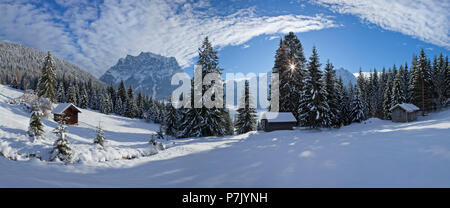 Österreich, Tirol, Außerfern, Bergwiesen in der Nähe von Ehrwald gegen Zugspitze Stockfoto