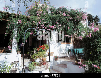 Rosa Kletterrosen auf traditionellen Einstöckigen mallorquinische Haus mit Tisch und Stühlen auf der Terrasse Stockfoto