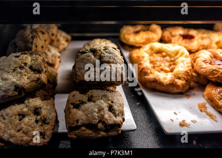 Nahaufnahme von vielen gelben Dessert berry Obst gebackenes Gebäck, Heidelbeeren Zucker Scones, Muffins auf Ablage retail display Desserts in Bäckerei Stockfoto