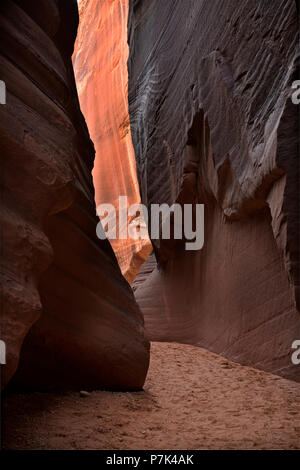 ARIZONA - Navajo Sandstein in den Slot Canyon von Coyote Wash entlang der Wire Pass Route in der Paria Canyon - Vermilion Cliffs Wilderness erstellt. Stockfoto