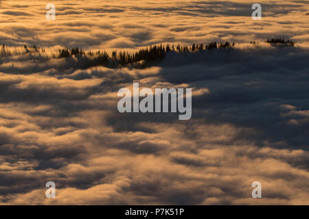 Blick aus dem Martinskopf zum Meer der Nebel im Tal, die Berge auf dem See Walchen, Bayerische Alpen, Oberbayern, Bayern, Deutschland Stockfoto