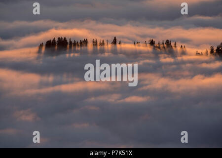 Blick aus dem Martinskopf zum Meer der Nebel im Tal, die Berge auf dem See Walchen, Bayerische Alpen, Oberbayern, Bayern, Deutschland Stockfoto