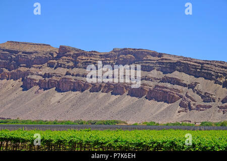 Weinbau am Oranje schließen Noordoewer, stark erodierte, malerische Berge auf der gegenüberliegenden Seite in Südafrika, Namibia, grenzort Noordoewer Stockfoto