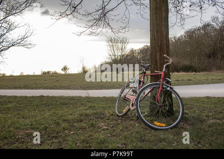 Altes Fahrrad gegen einen Baum gelehnt. Stockfoto