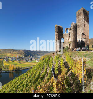 Burgruine Metternich, Beilstein, Mosel, Rheinland-Pfalz, Deutschland Stockfoto