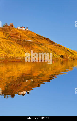 Die Marienburg in der Mosel, Morbach, Rheinland-Pfalz, Deutschland widerspiegelt Stockfoto