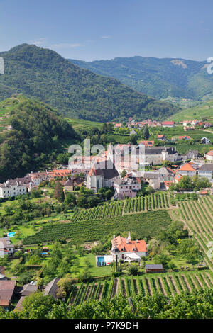 Weinberge im Sommer, Spitz, Donau, Wachau, Niederösterreich, Österreich Stockfoto