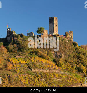 Burgruine Metternich, Beilstein, Mosel, Rheinland-Pfalz, Deutschland Stockfoto