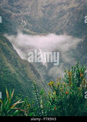 Vertikale Foto von Blumen mit Wasserfall und Berge mit Nebel im Hintergrund auf dem Inka Trail. Peru. Keine Menschen. Stockfoto