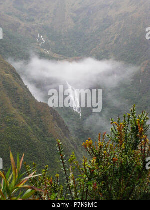 Vertikale Foto von Blumen mit Wasserfall und Berge mit Nebel im Hintergrund auf dem Inka Trail. Peru. Keine Menschen. Stockfoto