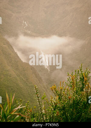 Vertikale Foto von Blumen mit Wasserfall und Berge mit Nebel im Hintergrund auf dem Inka Trail. Peru. Keine Menschen. Stockfoto