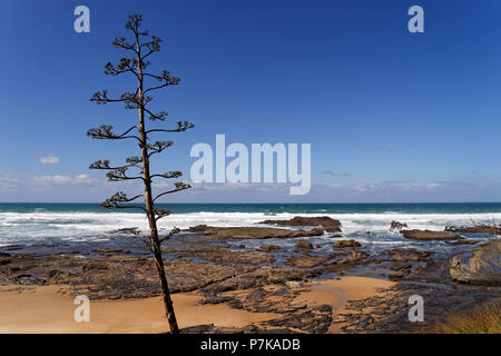 Strand von Rogil, Praia da samouqueira, zwischen Rogil und Aljezur an der wilden Küste des Atlantiks Stockfoto