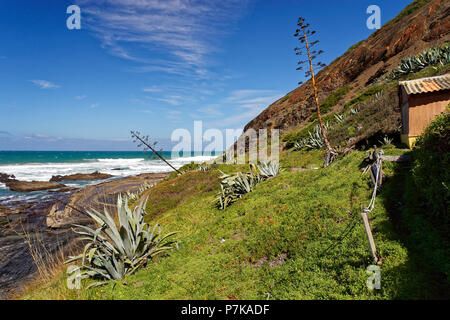 Strand von Rogil, Praia da samouqueira, zwischen Rogil und Aljezur an der wilden Küste des Atlantiks Stockfoto