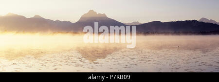 Nebel über dem Hopfensee bei Sonnenaufgang, Allgäu, Bayern, Deutschland Stockfoto