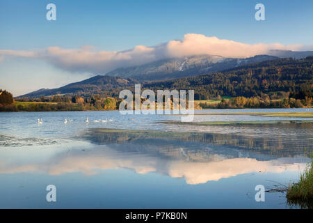 Grüntensee im Herbst, Allgäu, Oberbayern, Deutschland Stockfoto