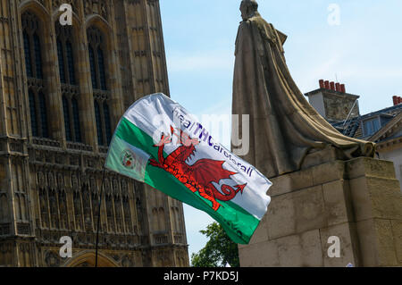 London, Großbritannien. 6. Juli 2018. Die Flagge von Wales hat die Meldung 'healTCHareforall" als Mitglieder der Gruppe "Wir, die Unterzeichnenden haben ein gesetzliches Recht Cannabis" Protest im Alten Schloss Hof in Unterstützung von Newport West Labour MP Paul Flynn's Private Member Bill verwenden, um die medizinische Verwendung von Cannabis wurde erwartet heute Nachmittag diskutiert werden. Einwände von MPs verhindert die Debatte und es war zurück bis Oktober geschoben. Credit: Peter Marschall/Alamy leben Nachrichten Stockfoto