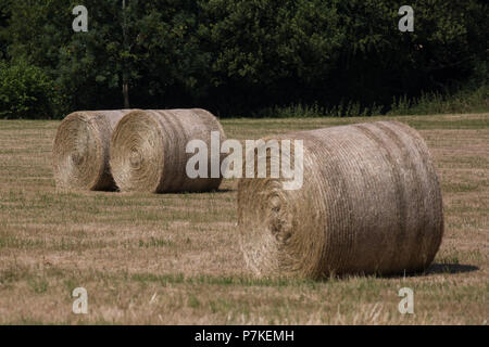 Ellesborough, UK. 6. Juli, 2018. Strohballen auf einem Feld in der Nähe von Salisbury, offizielle Residenz des Premierministers. Credit: Mark Kerrison/Alamy leben Nachrichten Stockfoto